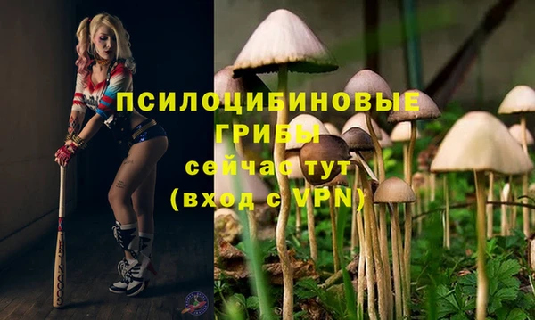 мефедрон Медногорск
